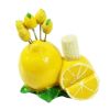 Lovely Stainless Steel Fruit Forks Salad Forks Dessert Forks - Lemon